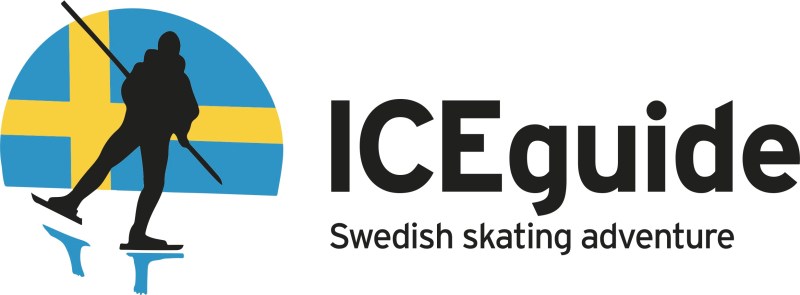 ICEguide