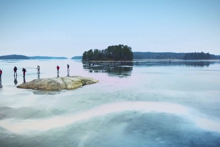 a group of people swimming in a body of water