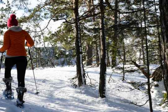 a person is cross country skiing in the snow